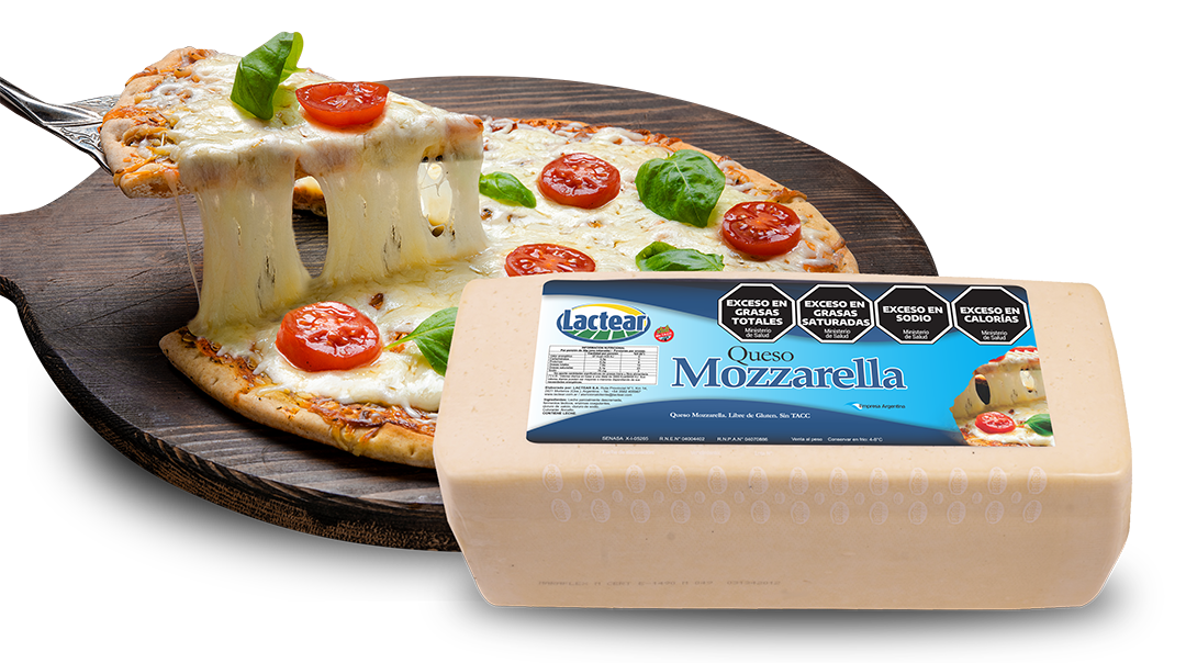 QUESO MOZZARELLA