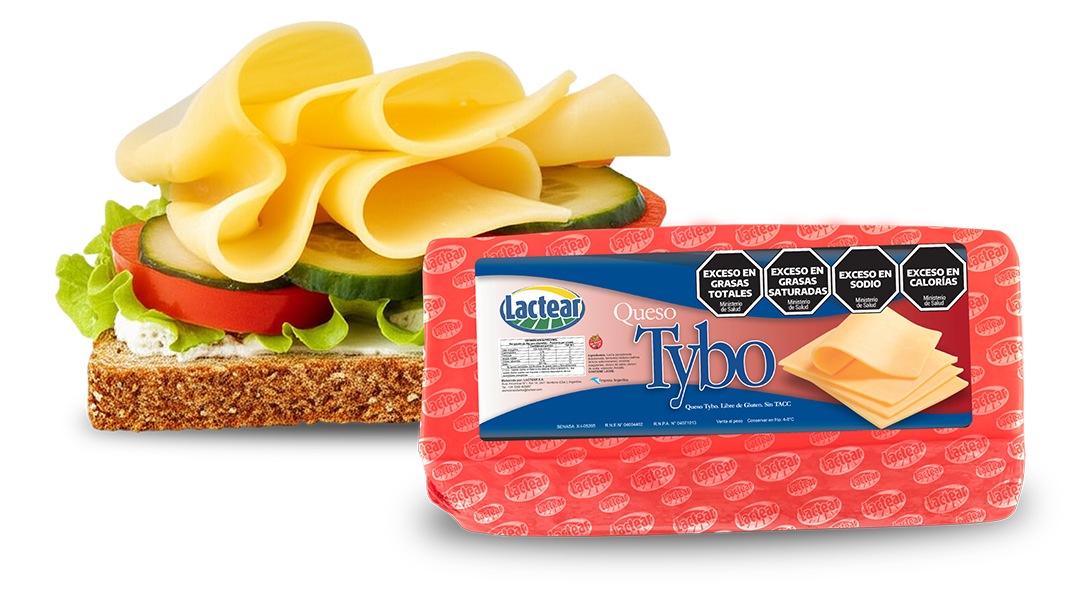 QUESO TYBO
